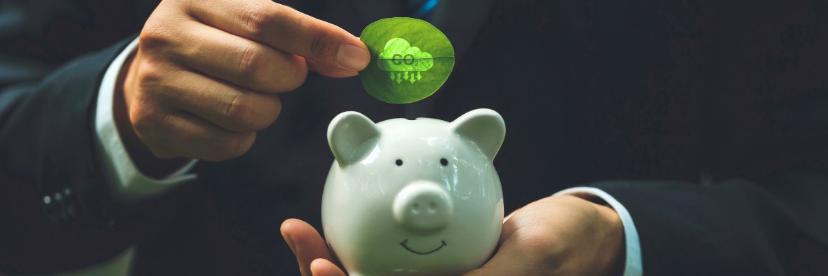 net zero economy