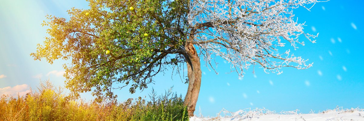 seasonal recruitment trends 