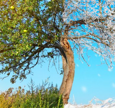 seasonal recruitment trends 
